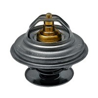 Termostat F119202050030