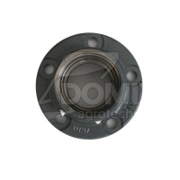 Piasta talerza 5-otw 2421610010 Au/2765