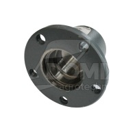 Piasta talerza 5-otw 2421610010 Au/2765
